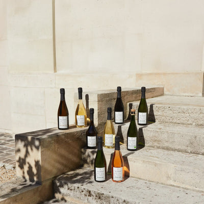 シャンパーニュの大地への敬意を込めて！自然と共存し続けるメゾン、テルモンとは？